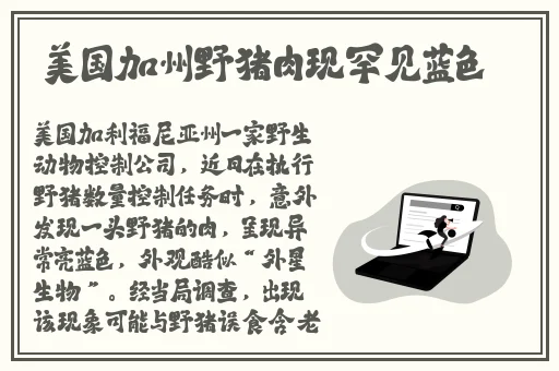 **456大交乱高清视频